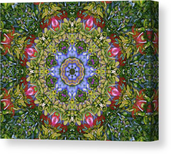 Circle Canvas Print featuring the digital art Colorful Kaleidoscope Circle by Roy Pedersen