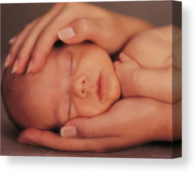 Hands Canvas Print featuring the photograph Corinne Holding Alexander by Anne Geddes