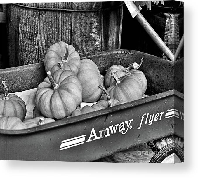 Pumpkins Canvas Print featuring the photograph Country Mini Pumpkins In Black And White by Smilin Eyes Treasures