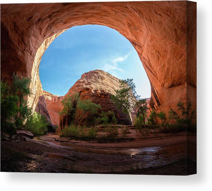 Utah Canvas Print featuring the photograph Coyote Gulch Utah by James Udall