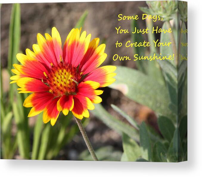 Nature Canvas Print featuring the photograph Create Your Own Sunshine by Sheila Brown