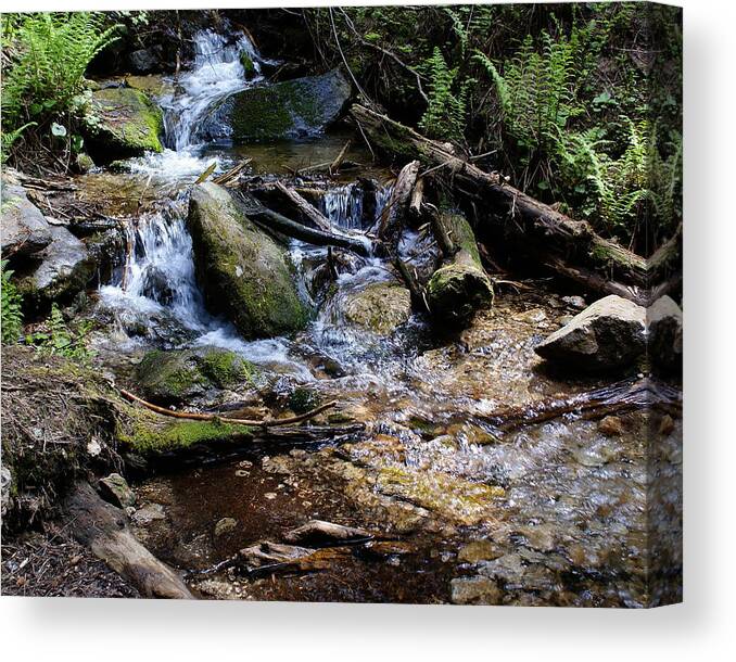 Nature Canvas Print featuring the photograph Crystal Clear Creek by Ben Upham III