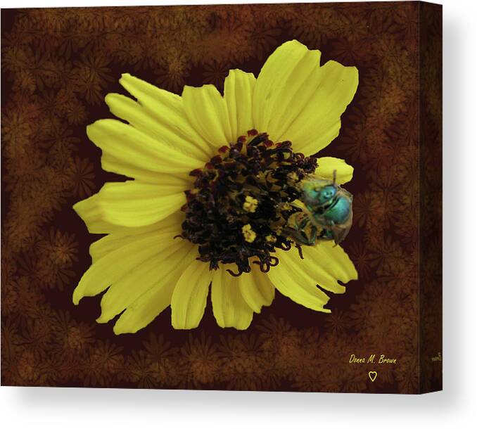 Flower Canvas Print featuring the photograph Daisy with Bee by Donna Brown