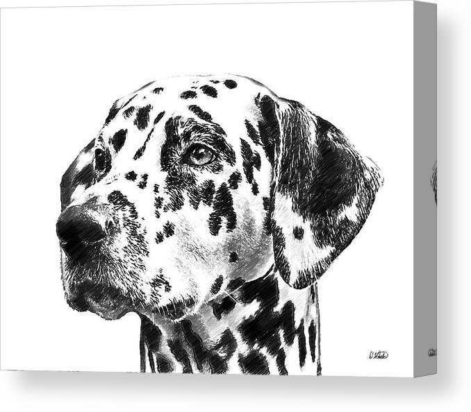 Dalmatians Canvas Print featuring the drawing Dalmatians - DWP765138 by Dean Wittle