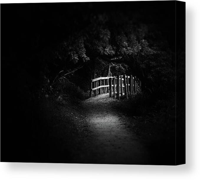 Black And White Canvas Print featuring the photograph Dark Footbridge by Scott Norris