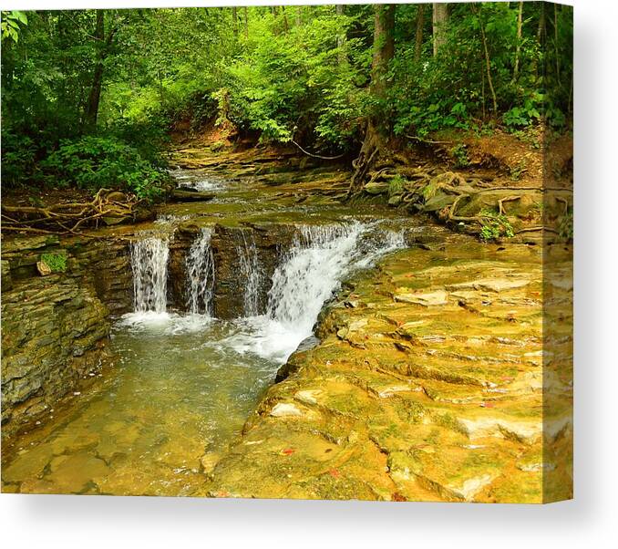 Saunder Springs Canvas Print featuring the photograph Saunders Springs, Kentucky by Stacie Siemsen