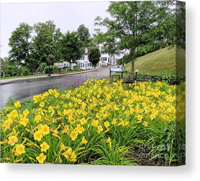 Janice Drew Canvas Print featuring the photograph Day Lilies by Janice Drew
