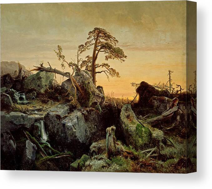 August Cappelen Canvas Print featuring the painting Decaying forest by August Cappelen