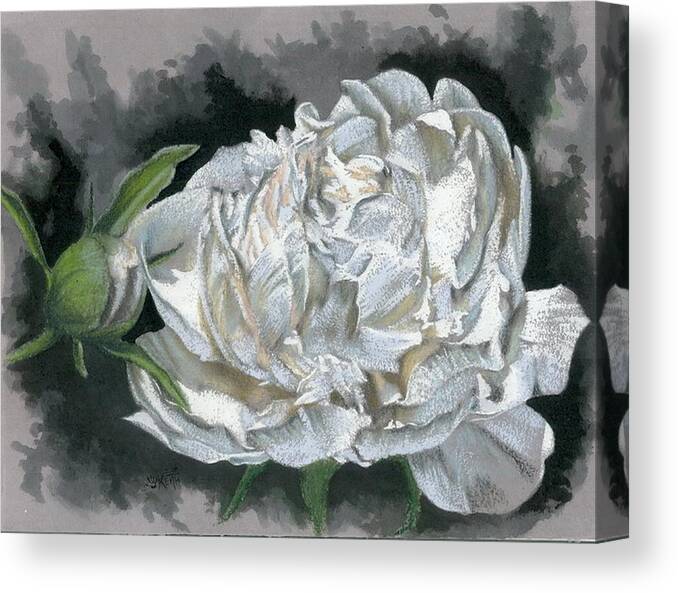 Peony Canvas Print featuring the mixed media Demure by Barbara Keith