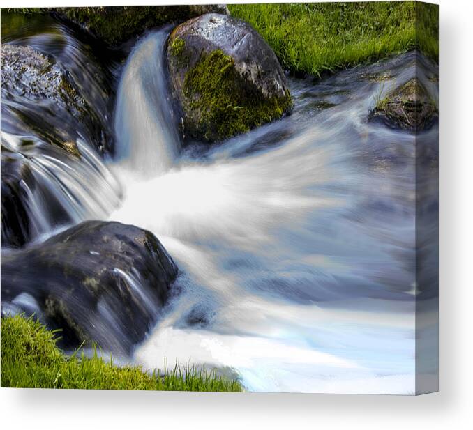Dow Gardens Canvas Print featuring the photograph Dow Gardens by Pat Cook