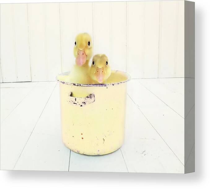 Duck Photography Canvas Print featuring the photograph Duck Soup - Yellow Version by Amy Tyler