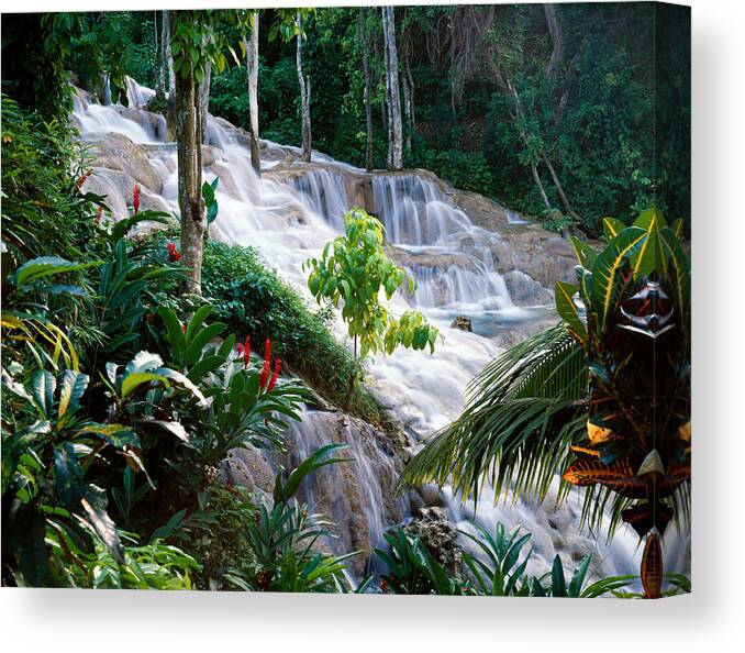 Jamaica Canvas Print featuring the photograph Dunn's River Falls Jamaica by Cliff Wassmann