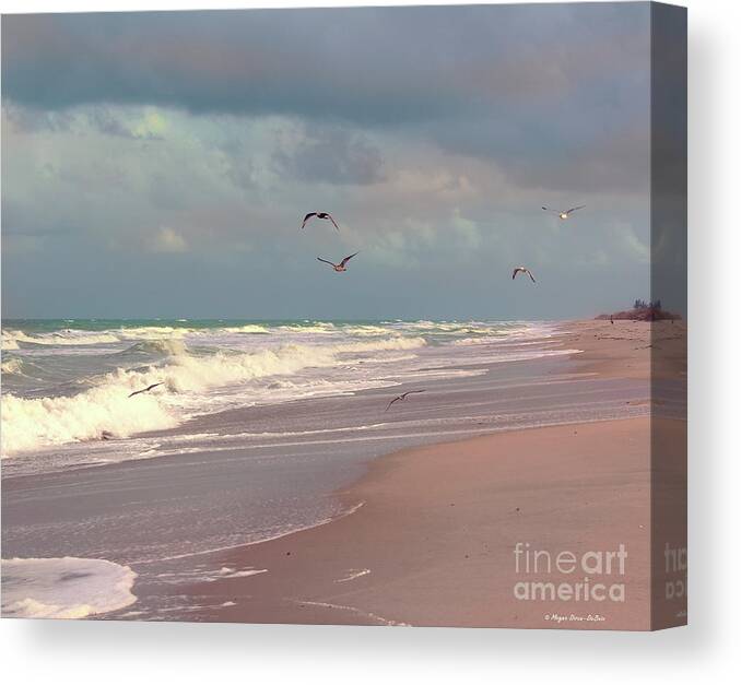 Beach Canvas Print featuring the photograph Early Evening by Megan Dirsa-DuBois
