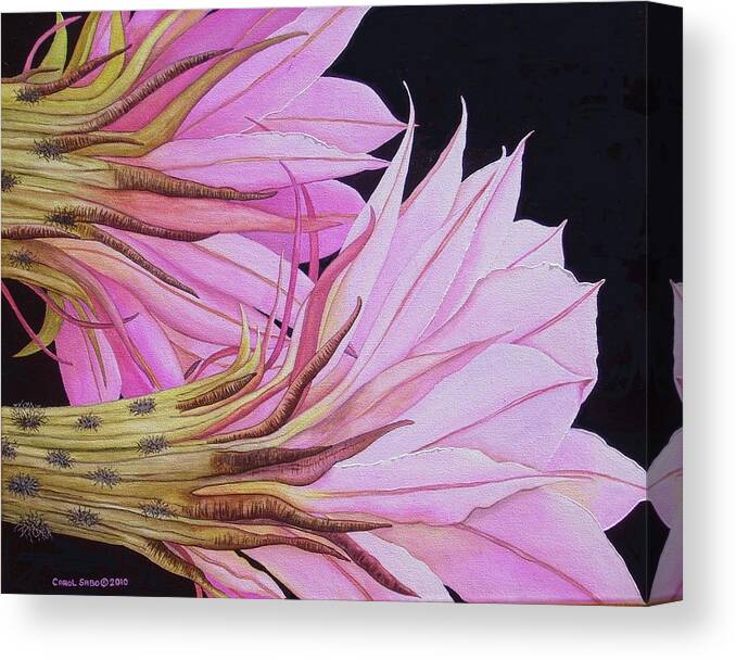 Cactus Canvas Print featuring the painting Easter Lily Cactus Flower by Carol Sabo