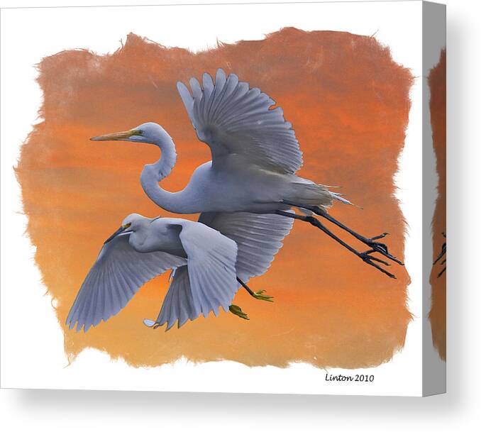 Great Egret Canvas Print featuring the digital art EGRETS GREAT and SNOWY by Larry Linton