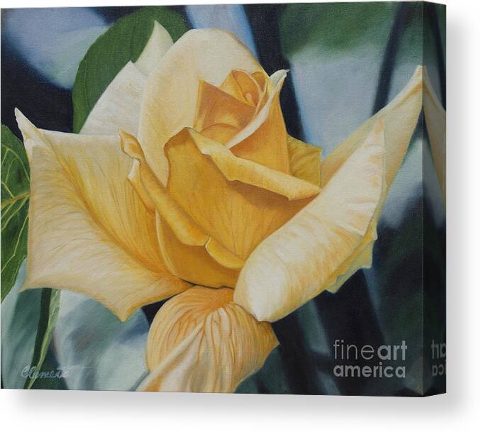 Rose Canvas Print featuring the painting Elegant Beauty by Barbara Barber
