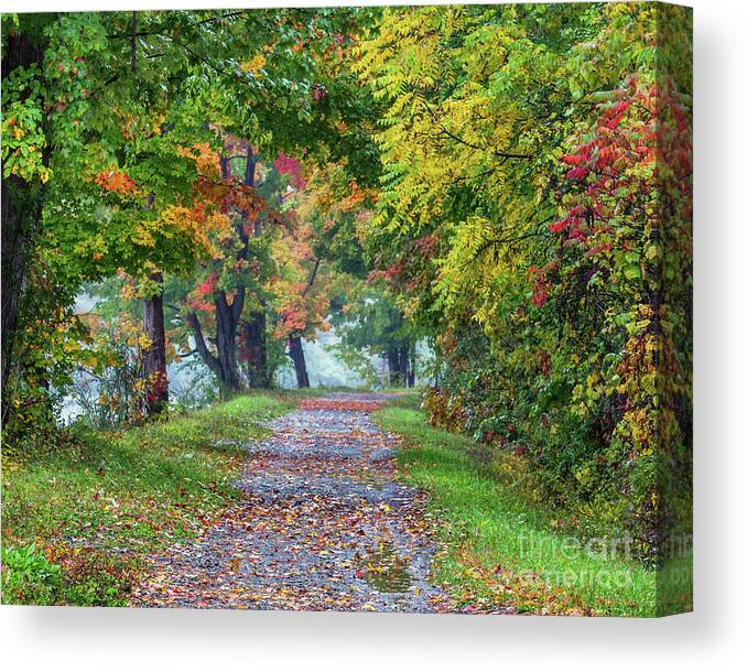Erie Canal Canvas Print featuring the photograph Erie Canal in Fall by Phil Spitze