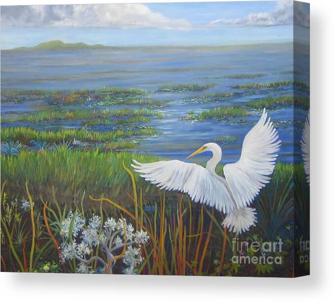 Egret Canvas Print featuring the painting Everglades Egret by Anne Marie Brown