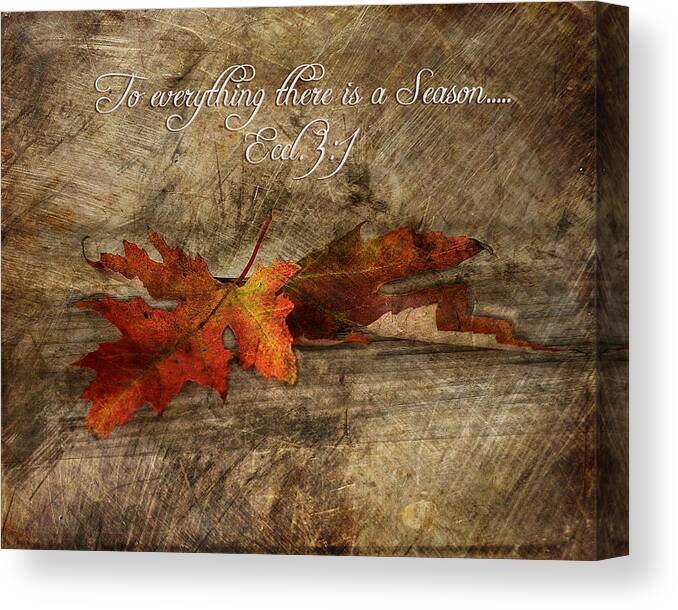 Fall Foliage Canvas Print featuring the photograph Fading of Fall by TnBackroadsPhotos