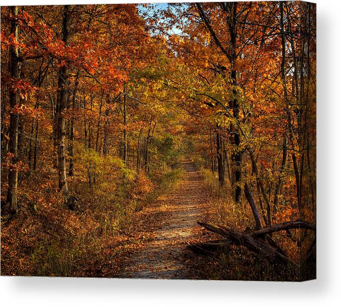 Fall Color Canvas Print featuring the photograph Fall Color at Centerpoint Trailhead by Michael Dougherty