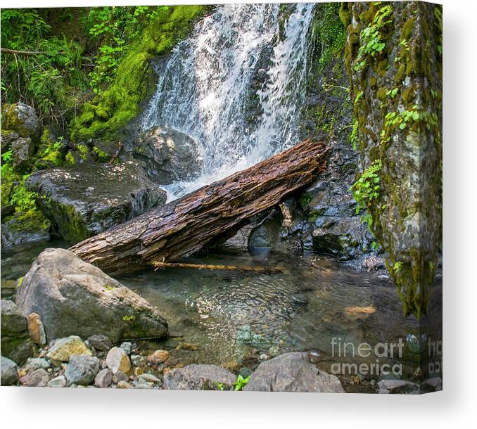 Waterfalls Canvas Print featuring the photograph Falls Creek 0742 by Chuck Flewelling