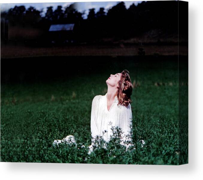Woman Canvas Print featuring the photograph Field Of Dreams by DArcy Evans