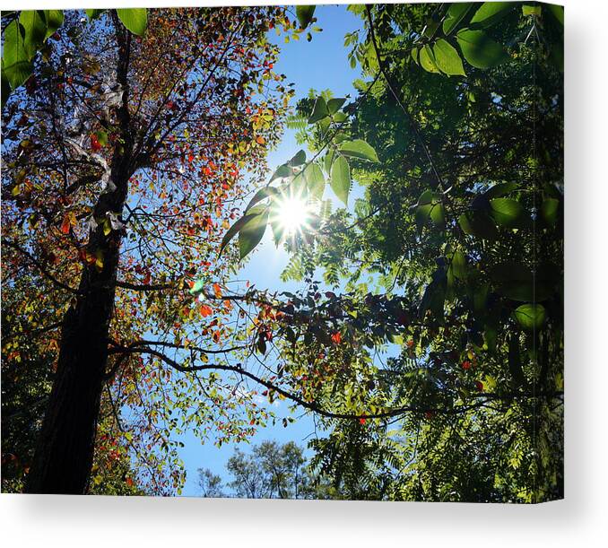 Fall Canvas Print featuring the photograph First Color of Fall by Katy Hawk
