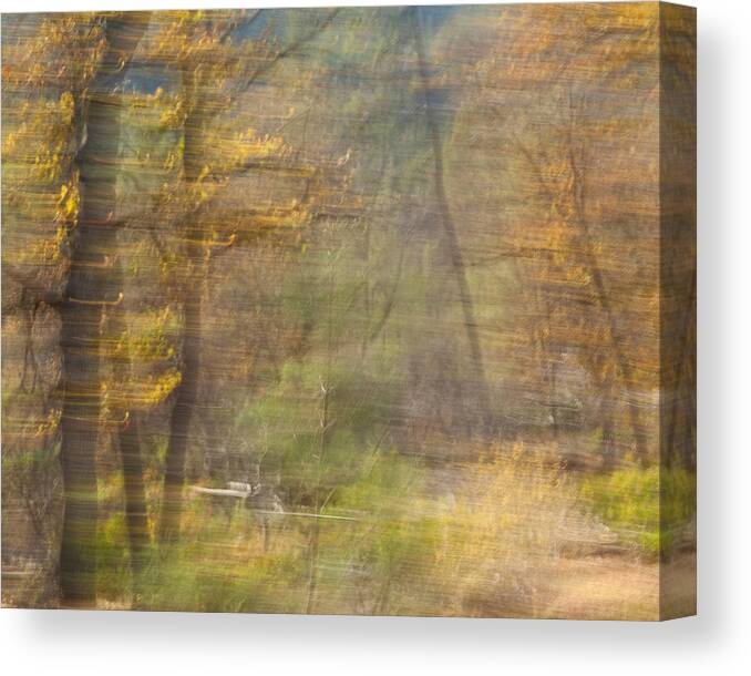 Autumn Canvas Print featuring the photograph Fleeting Autumn by Denise Dethlefsen