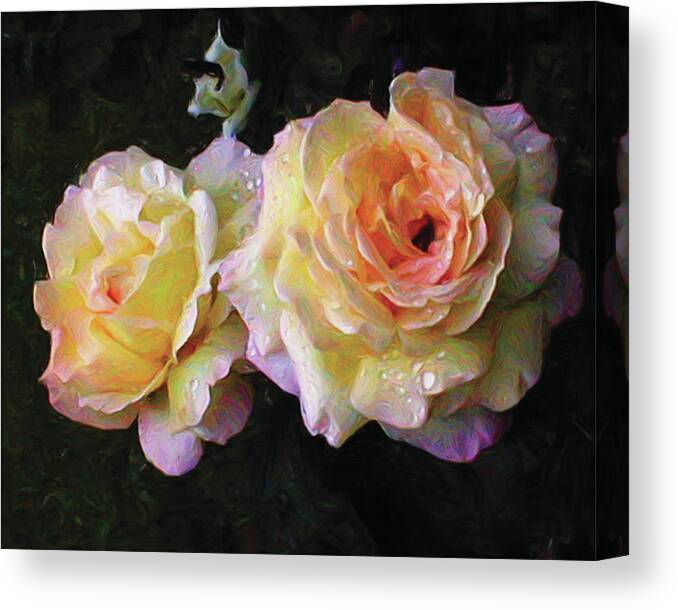 Peace Roses Canvas Print featuring the painting Floating Peace by Liz Evensen