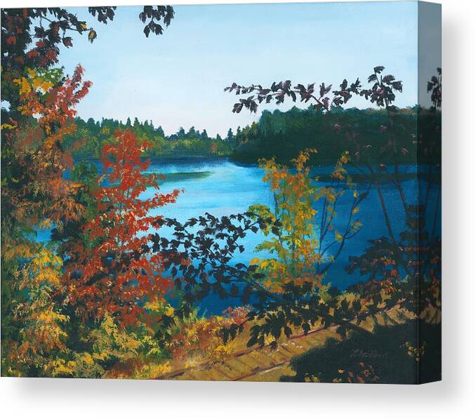 Floodwood Canvas Print featuring the painting Floodwood by Lynne Reichhart