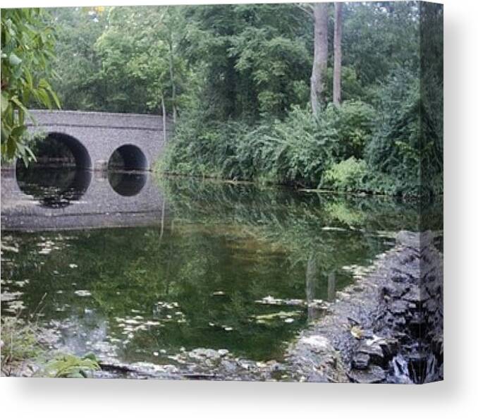 Landscape Canvas Print featuring the photograph Footbridge Buckeye Falls by Patricia R Moore