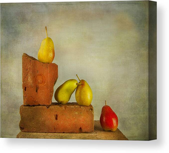 Dutch Masters Canvas Print featuring the photograph Forelle Pears by Theresa Tahara