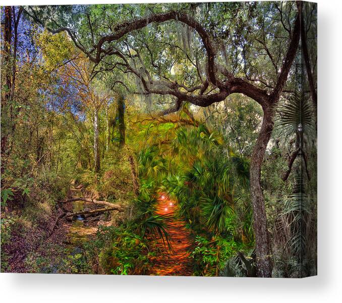 Art Canvas Print featuring the photograph Forest Magic by John M Bailey