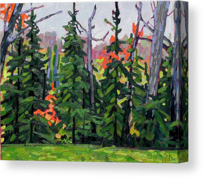 Pine Canvas Print featuring the painting Forest Wall by Phil Chadwick
