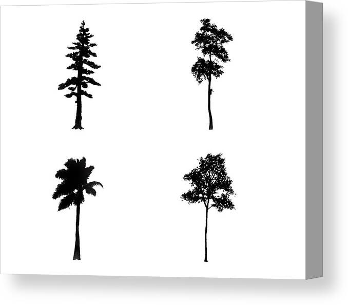 Tree Canvas Print featuring the digital art Four Tall Thin Trees by Roy Pedersen