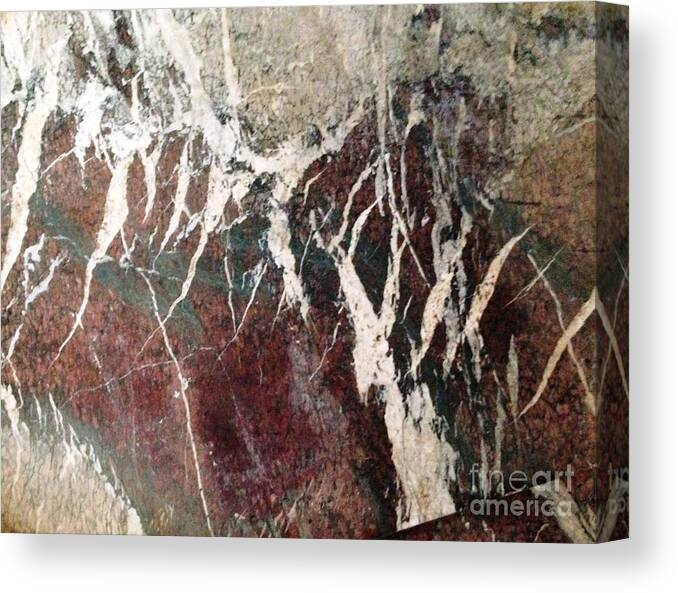 Marble Canvas Print featuring the photograph French marble by Therese Alcorn