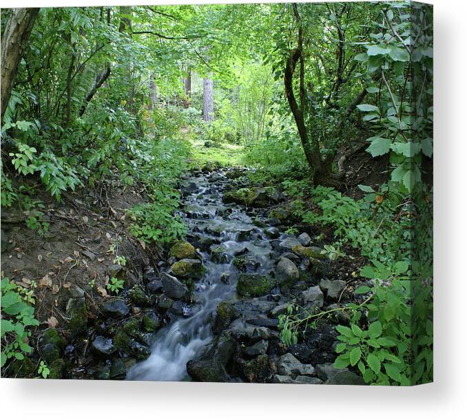 Nature Canvas Print featuring the photograph Garden Springs Creek in Spokane by Ben Upham III