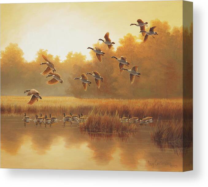 Canada Geese Canvas Print featuring the painting Gathering by Guy Crittenden