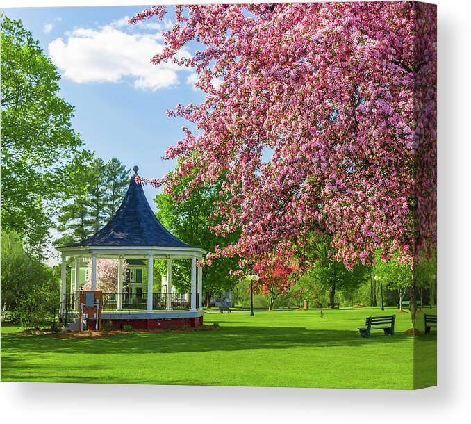 Vermont Canvas Print featuring the photograph Gazebo and Blossoms by Tim Kirchoff