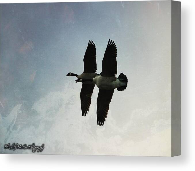  Canvas Print featuring the photograph Geese by Elizabeth Harllee