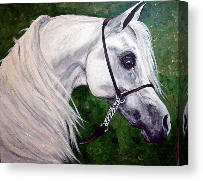 Horse Canvas Print featuring the painting Gentle Arabian by BJ Redmond