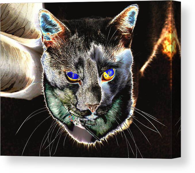 Cat Canvas Print featuring the photograph Ghosty by Larry Beat