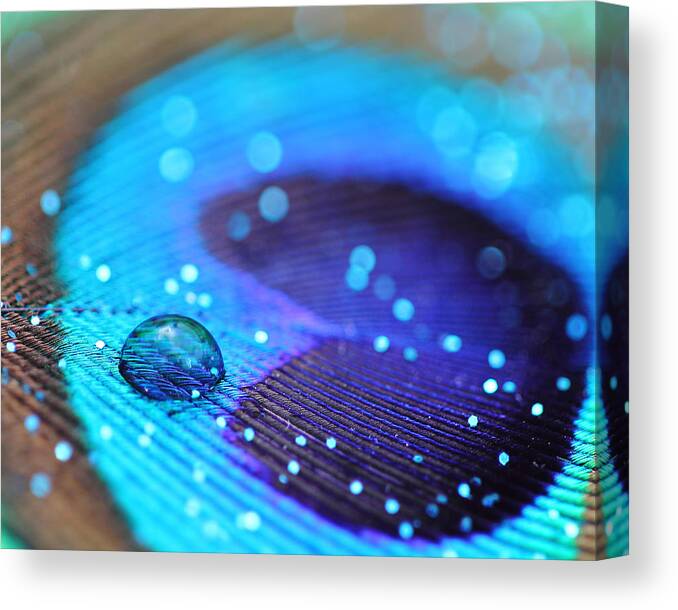 Peacock Canvas Print featuring the photograph Glitter and Feathers by Angela Murdock