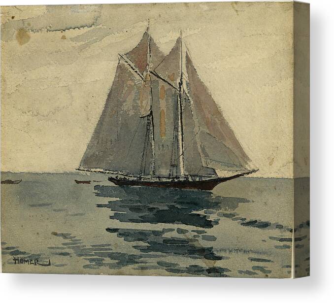 Winslow Homer Canvas Print featuring the drawing Gloucester Schooner by Winslow Homer