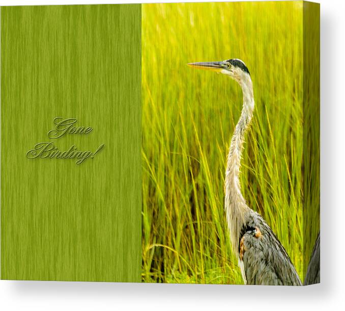 Greeting Card Canvas Print featuring the photograph Gone Birding by Leticia Latocki