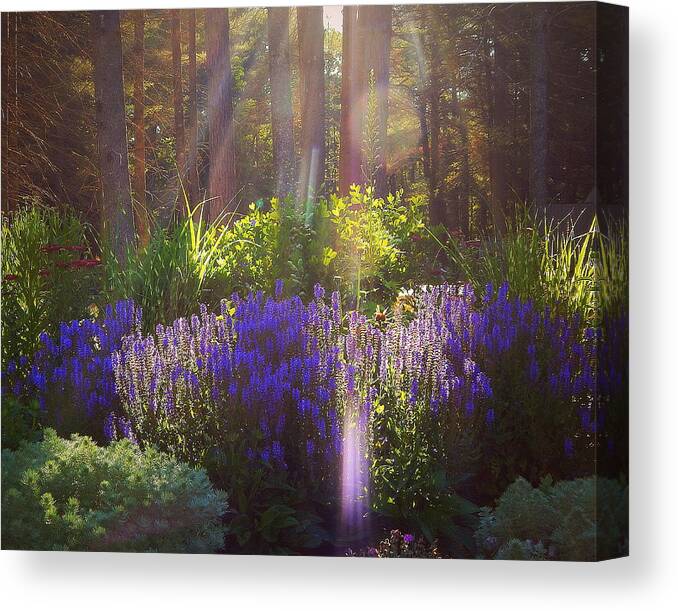 Good Morning Sunshine Canvas Print featuring the photograph Good morning sunshine by Karen Cook