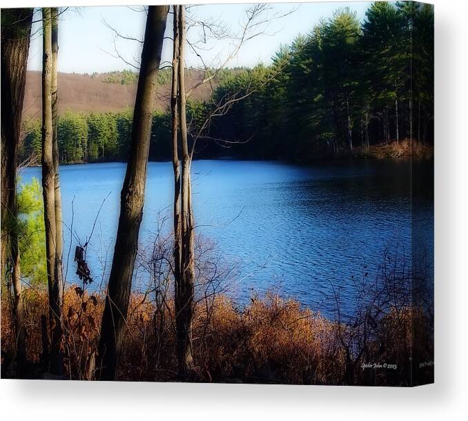 Goose Pond Canvas Print featuring the photograph Goose Pond Dreams by Rick Wilkerson