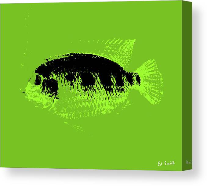 Green Fish Canvas Print featuring the photograph Green Fish by Edward Smith