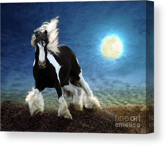 Gypsy Vanner Canvas Print featuring the digital art Gypsy Moon by Melinda Hughes-Berland