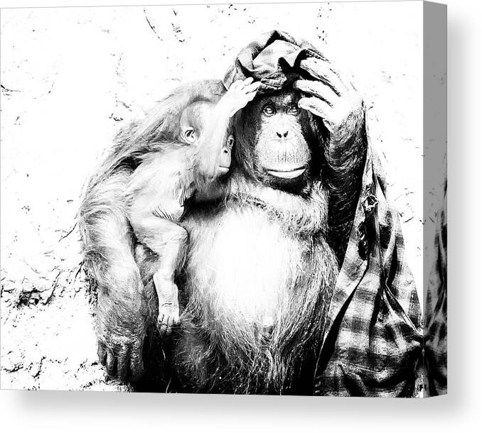 Crystal Yingling Canvas Print featuring the photograph Hangin Out by Ghostwinds Photography